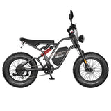Fafrees F20 Ultra Electric Bike (Brake Upgraded Version), 750W Motor, 48V 25Ah