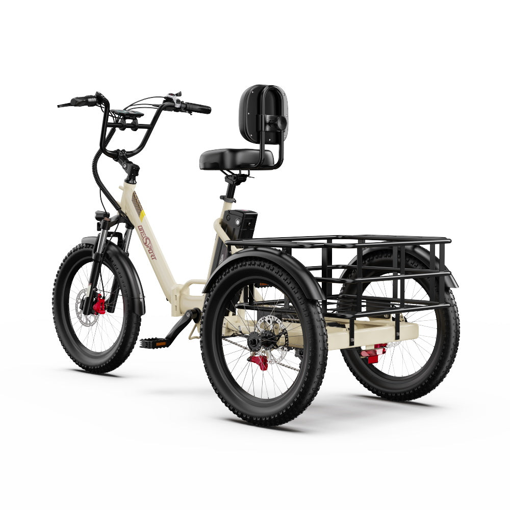 Onesport OT30 Pro Electric Bike