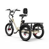 Onesport OT30 Pro Electric Bike