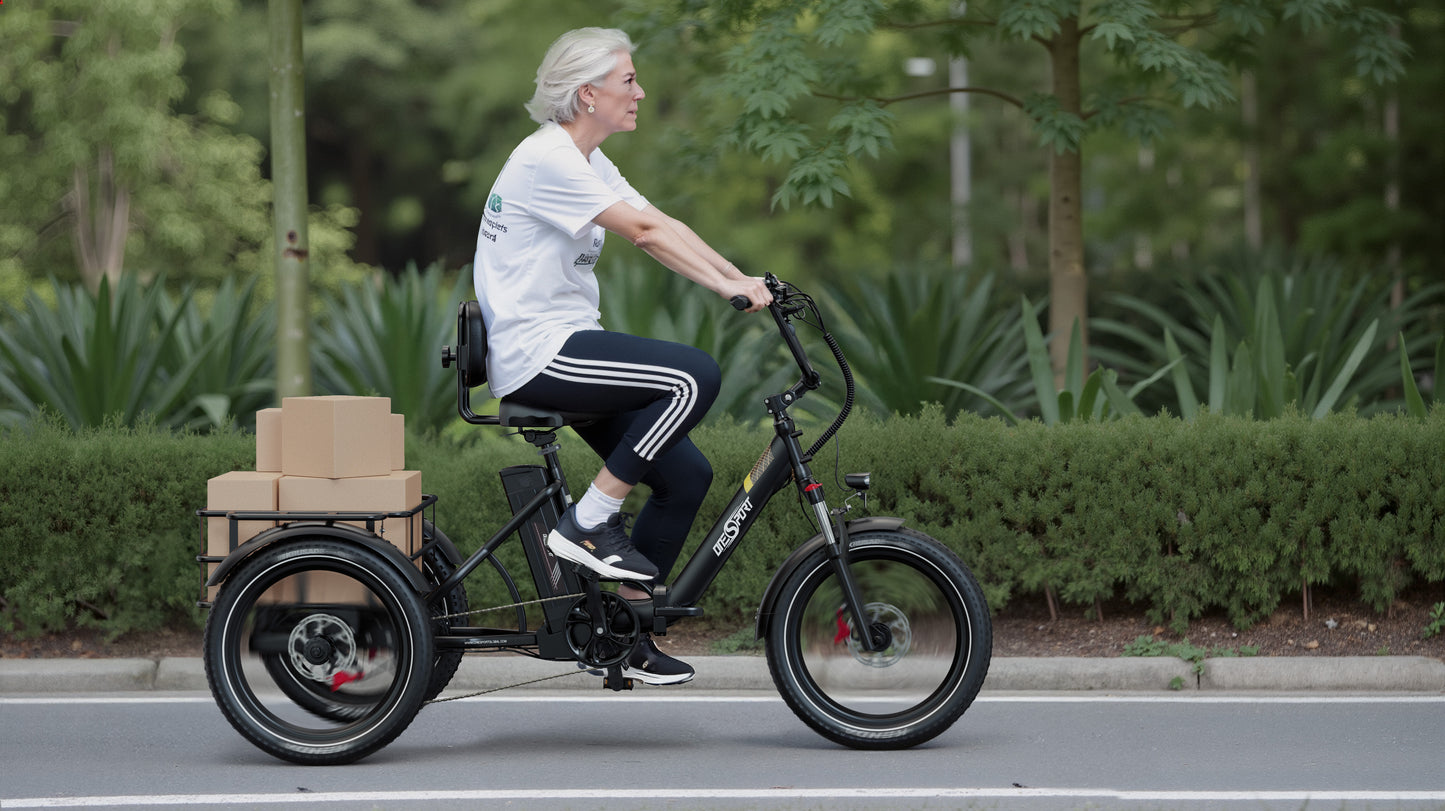 Onesport OT30 Pro Electric Bike