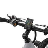 DUOTTS E29 Electric Bike, 250W Motor, 48V 13.5Ah Battery, 27.5 inch