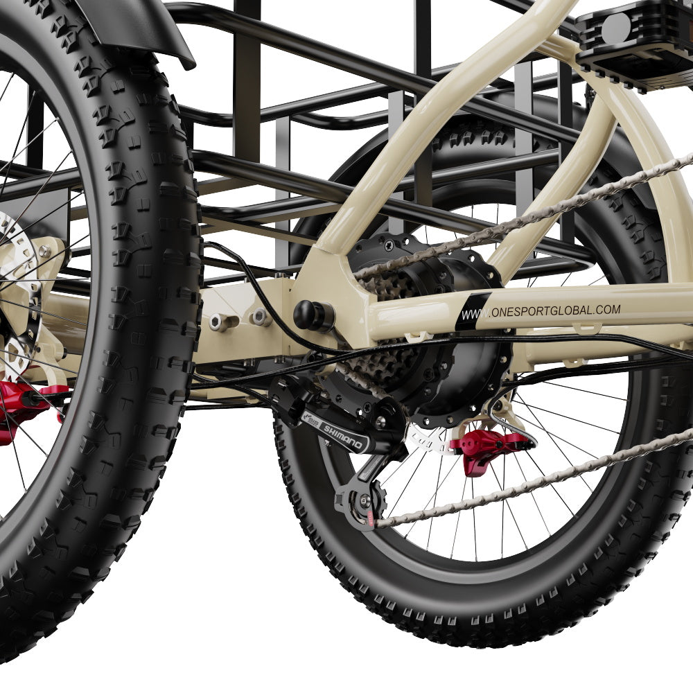 Onesport OT30 Pro Electric Bike