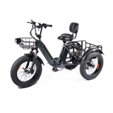 PULUMA SL001 Electric Tricycle 27Ah 500W *2x