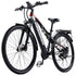RANDRIDE YG90B-29 Electric Bike, 1000W, 48V 17Ah Battery, 45km/h