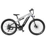 DUOTTS E29 Electric Bike, 250W Motor, 48V 13.5Ah Battery, 27.5 inch