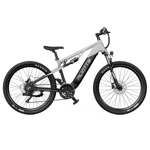 DUOTTS E29 Electric Bike, 250W Motor, 48V 13.5Ah Battery, 27.5 inch