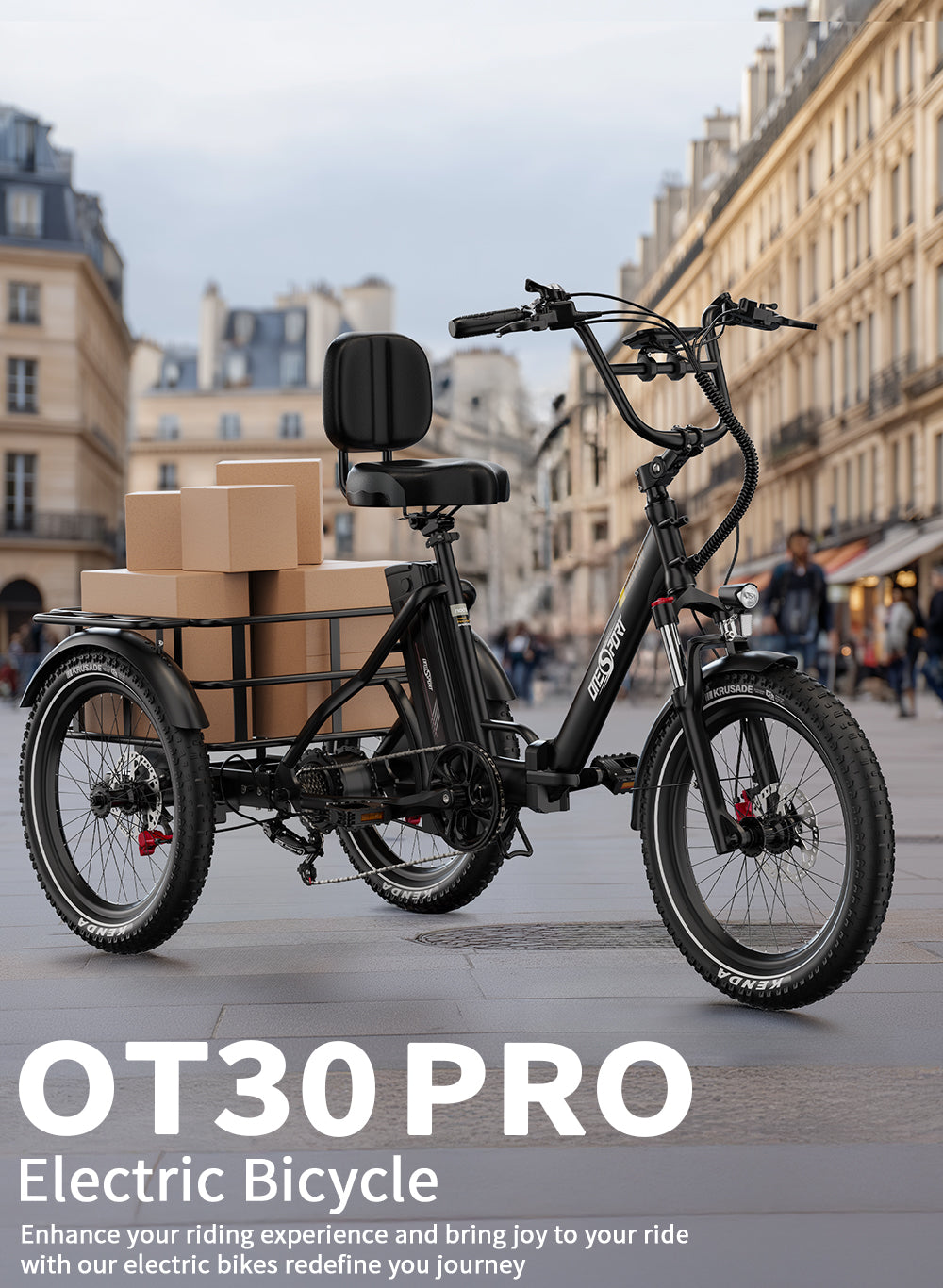 Onesport OT30 Pro Electric Bike