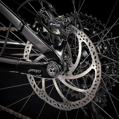 Baolujie DP2602 electric bike 2000W 20Ah