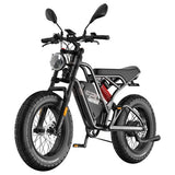 Fafrees F20 Ultra Electric Bike (Brake Upgraded Version), 750W Motor, 48V 25Ah