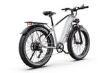 DUOTTS F26Lite Electric Bike