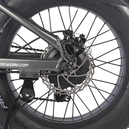 Fafrees F20 Ultra Electric Bike (Brake Upgraded Version), 750W Motor, 48V 25Ah