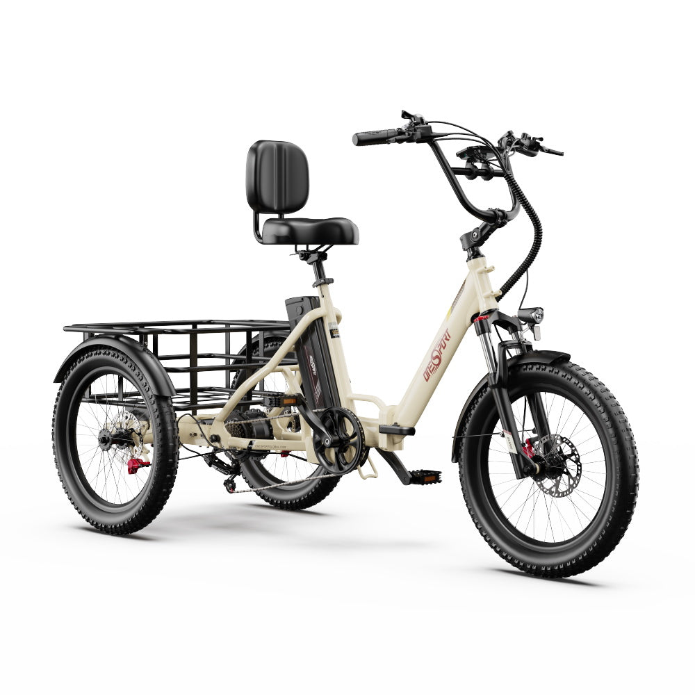 Onesport OT30 Pro Electric Bike
