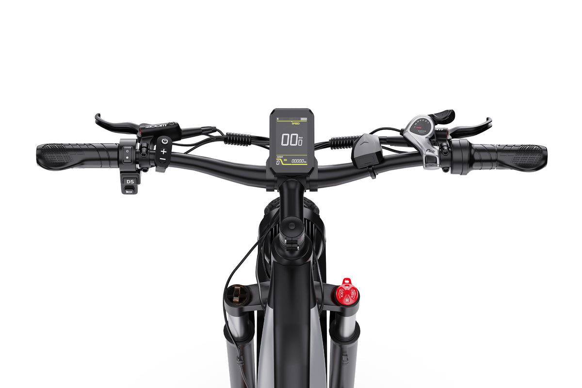 DUOTTS F26Lite Electric Bike