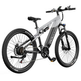 DUOTTS E29 Electric Bike, 250W Motor, 48V 13.5Ah Battery, 27.5 inch