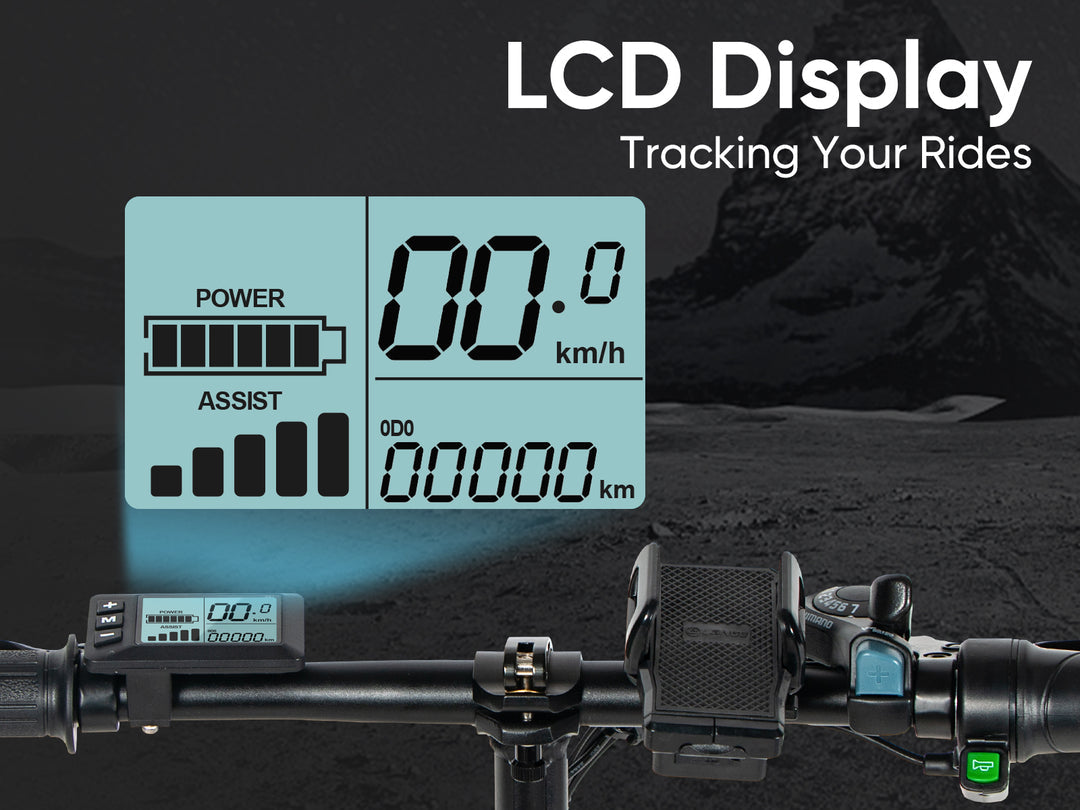 SAMEBIKE 20LVXD30-II Folding Electric Bike