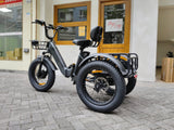 PULUMA SL001 Electric Tricycle 27Ah 500W *2x
