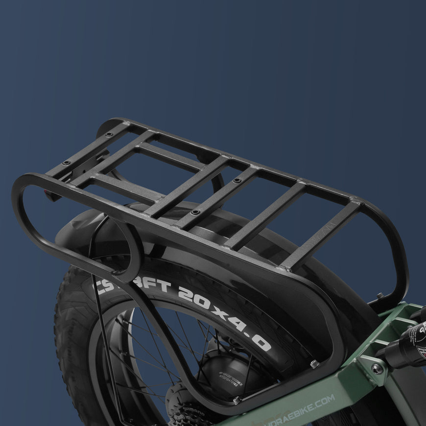 Eahora Juliet 1000W Electric Bike 48V 60Ah