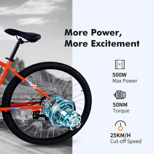 PVY M29 Electric Bike 250W Motor 48V 17.5Ah