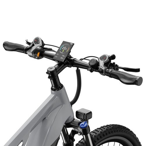 DUOTTS E29 Electric Bike, 250W Motor, 48V 13.5Ah Battery, 27.5 inch