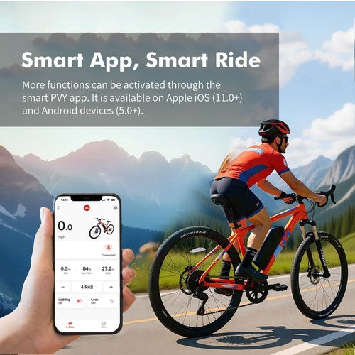 PVY M29 Electric Bike 250W Motor 48V 17.5Ah