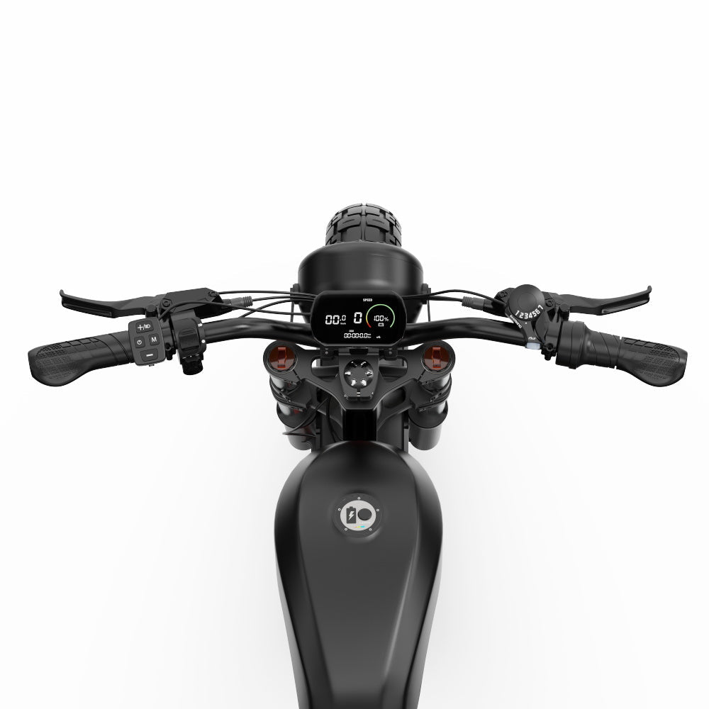 DUOTTS F20 Electric Bike 27Ah 750W