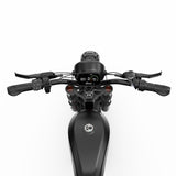 DUOTTS F20 Electric Bike 27Ah 750W