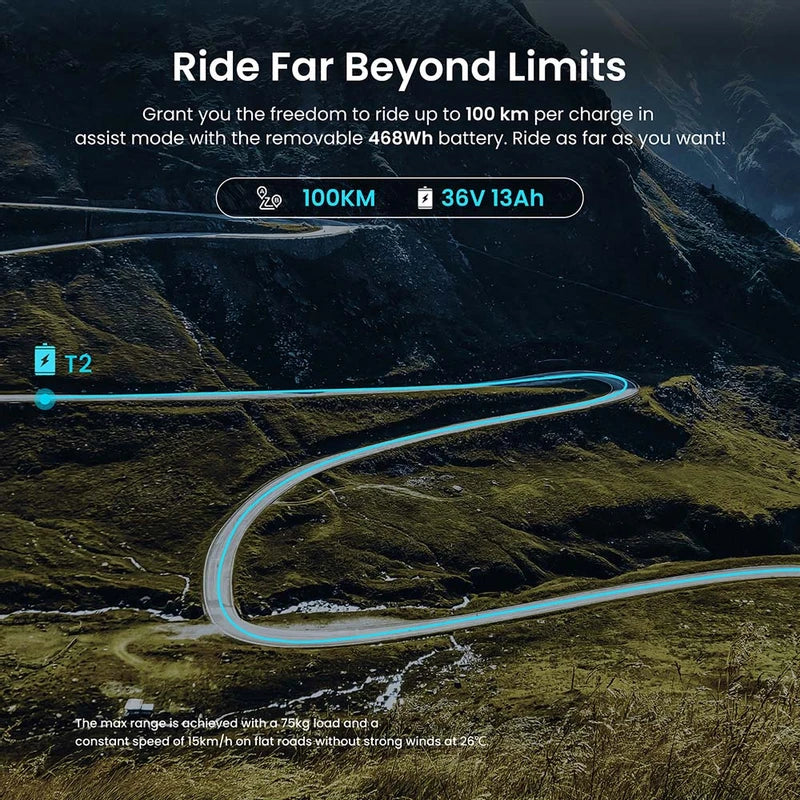 Eleglide T2 Electric Bike 250W Motor 36V 13Ah