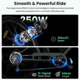 Touroll B2 Electric Bike 250W Motor 36V 15.6Ah