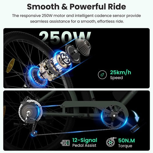 Touroll B2 Electric Bike 250W Motor 36V 15.6Ah