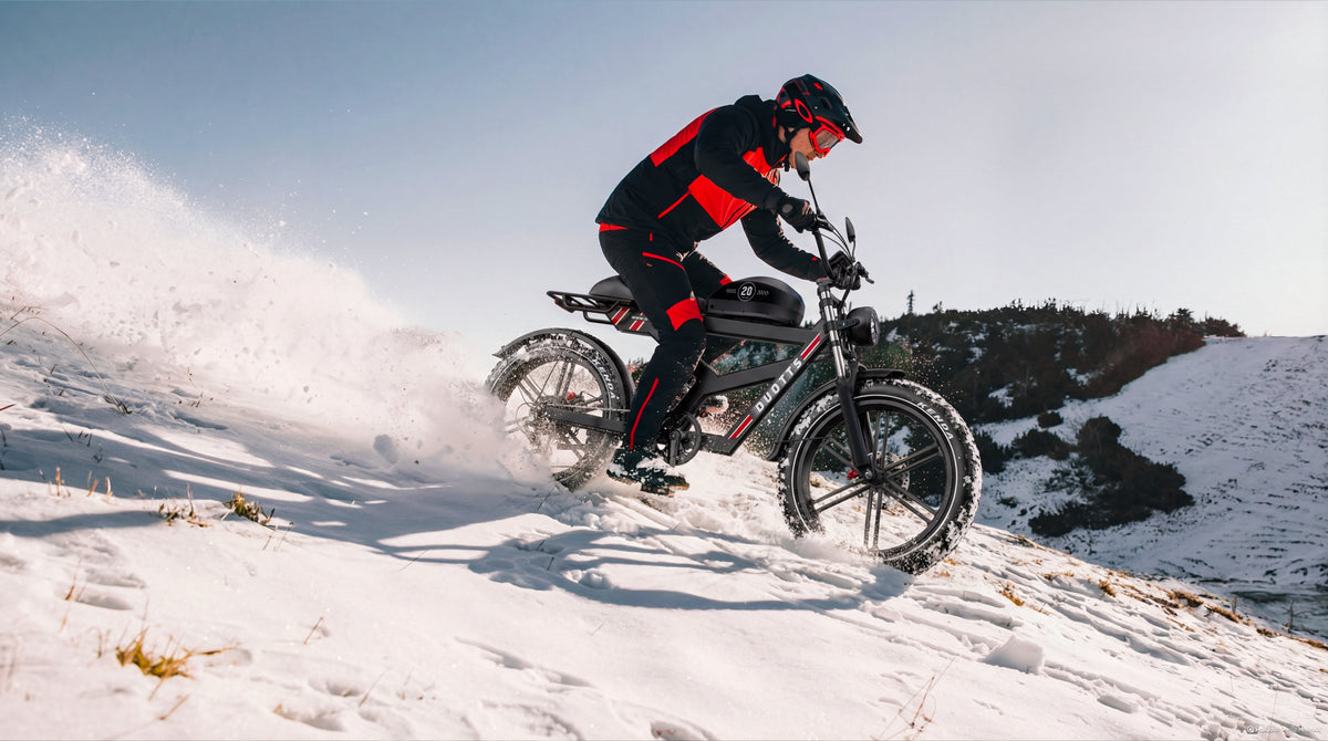 DUOTTS F20 Electric Bike 27Ah 750W