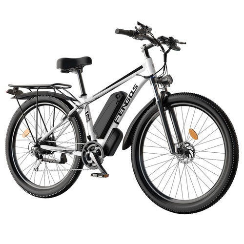 FENGQS Q8 Electric Bike, 750W Motor, 48V 17.5Ah 50km/h