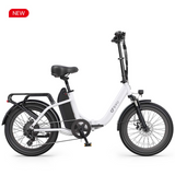 DYU C9 Long Distance Electric Bike