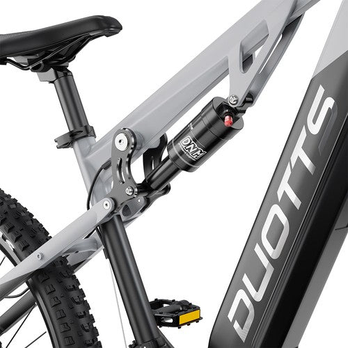 DUOTTS E29 Electric Bike, 250W Motor, 48V 13.5Ah Battery, 27.5 inch