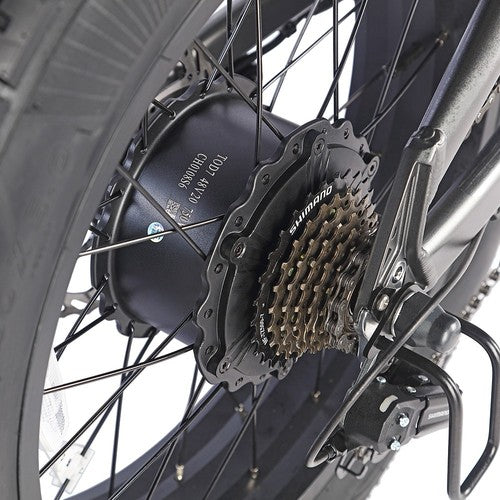 Fafrees F20 Ultra Electric Bike (Brake Upgraded Version), 750W Motor, 48V 25Ah