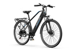 DUOTTS C29 Lite Electric Bike