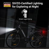 Touroll J1 ST 27.5 inch Electric Bike with 250W Motor 36V 15.6Ah