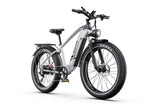 DUOTTS F26Lite Electric Bike