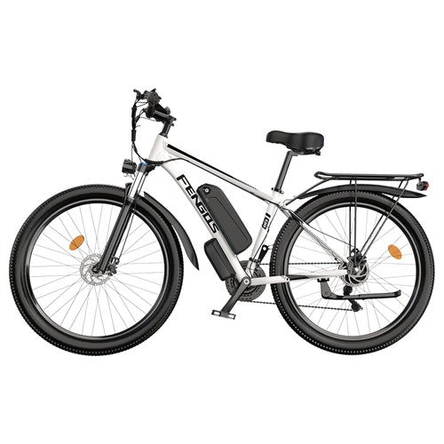 FENGQS Q8 Electric Bike, 750W Motor, 48V 17.5Ah 50km/h