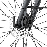 Fafrees F700W Electric Bike 100Km