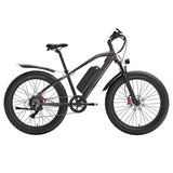 GOGOBEST GF600 Plus Electric Bike, 1000W Motor, 48V 20Ah