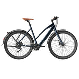 Fafrees F700W Electric Bike 100Km