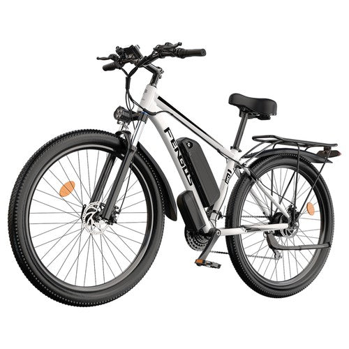 FENGQS Q8 Electric Bike, 750W Motor, 48V 17.5Ah 50km/h