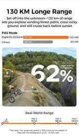 ENGWE Pro 3.0 Boost Electric Bike, 250W Motor, 48V 15Ah