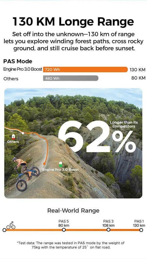 ENGWE Pro 3.0 Boost Electric Bike, 250W Motor, 48V 15Ah